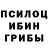 Галлюциногенные грибы мицелий Polska KOSTEK