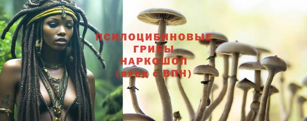 дживик Богданович
