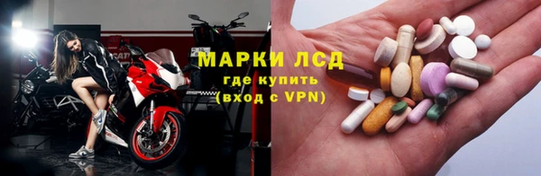 трава Арсеньев