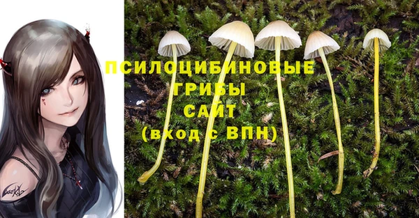 соль курить ск Белокуриха