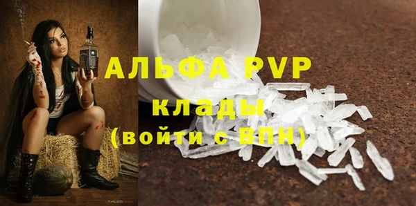 дживик Богданович