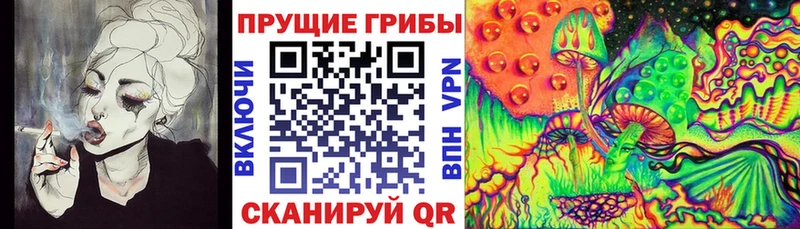 Купить  Димитровград  Галлюциногенные грибы Psilocybine cubensis 